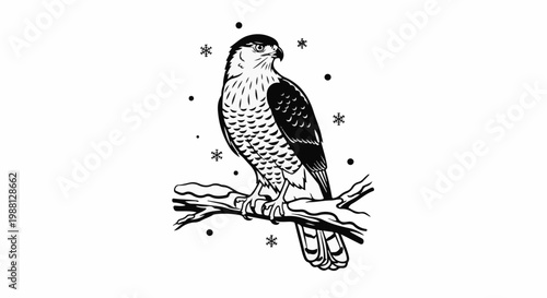 A black and white illustration of a hawk perched on a snowy branch with snowflakes