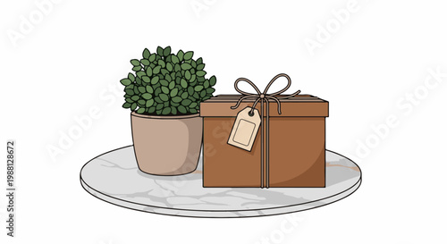 A brown gift box with a tag sits next to a potted plant
