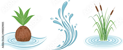 Water elements set with splash coconut plant and reeds in water vector illustration