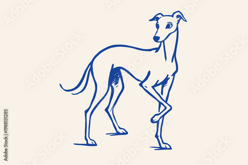 Fotografía Hand drawn whippet dog vector illustration in blue minimalist outline style with