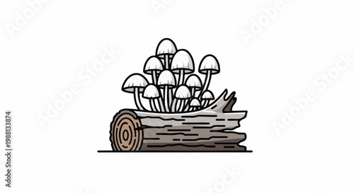A cluster of small white mushrooms sprouts from a weathered gray log