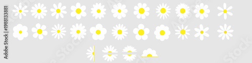 Daisy flowers icon vector set. Daisy Illustration sign collection. Chamomile symbol. flowers logo.