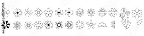 Daisy flowers icon vector set. Daisy Illustration sign collection. Chamomile symbol. flowers logo.