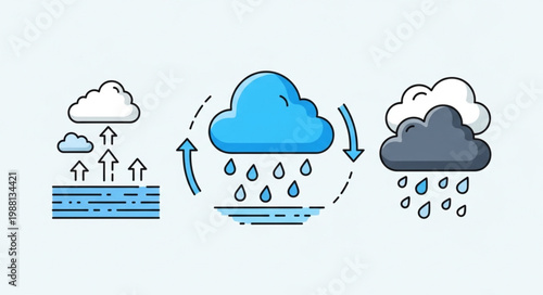 Water Cycle Illustration Showing Evaporation Condensation and Precipitation.