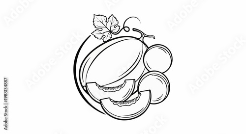 Freshly cut melons, whole and sliced, with vine and leaves