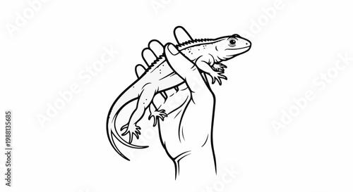 A person's hand holds a lizard, with a detailed illustration of the reptile