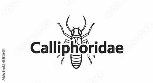 Scientific insect illustration with text below