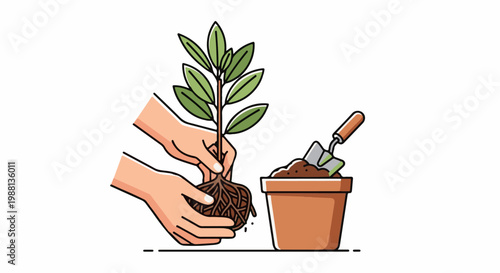 Hands gently planting a small tree with visible roots into a pot