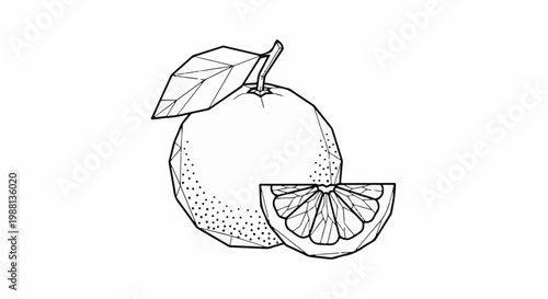 Polygonal line art drawing of a whole orange with a slice