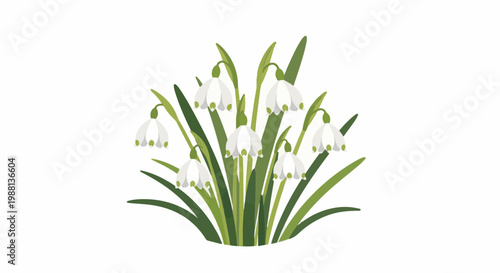 A cluster of delicate white bell-shaped flowers with green accents
