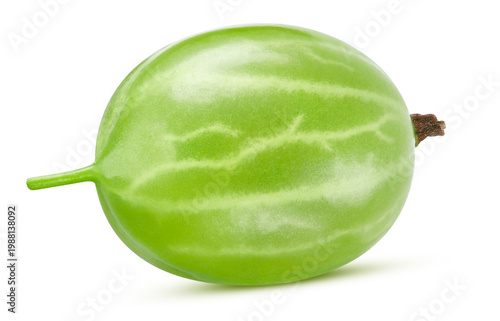 Fresh green gooseberry has detailed texture