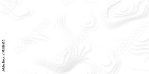 white topography map geography relief diagram texture design. Topography white background and black line world map texture design. Lines Topographic contour lines grid map seamless pattern.