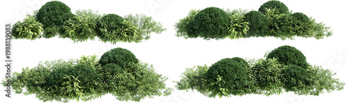 Shrubs and flower on a transparent background