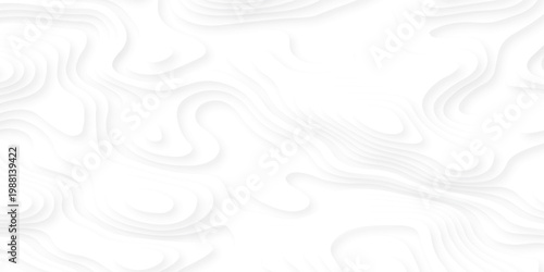 white topography map geography relief diagram texture design. Topography white background and black line world map texture design. Lines Topographic contour lines grid map seamless pattern.