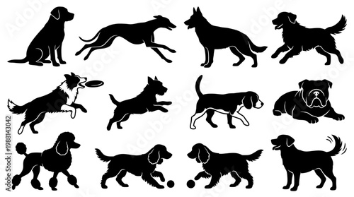 Black silhouettes of various dog breeds.