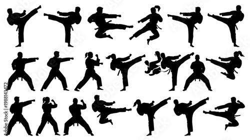 Silhouettes of people practicing martial arts.