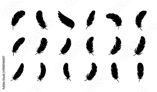 A set of black feather silhouettes on a white background