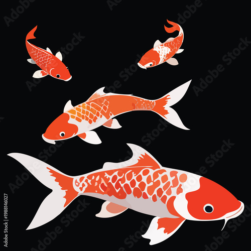 illustration of a goldfish