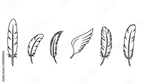A set of six black and white feather illustrations in various styles