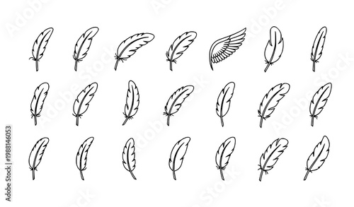 A set of minimalist feather illustrations in a simple black line art style