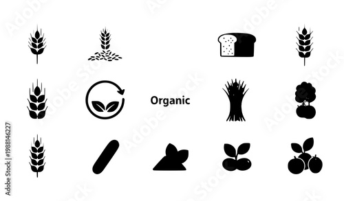 A set of organic food icons in a minimalist flat design style