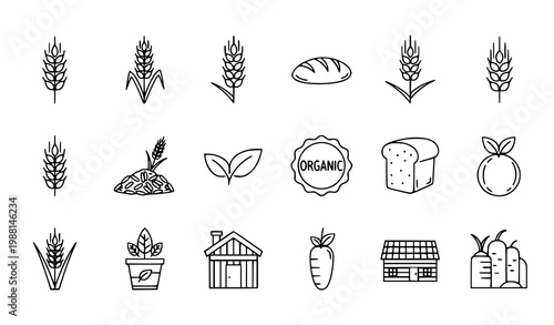 A set of black and white line art illustrations depicting organic farm produce and food
