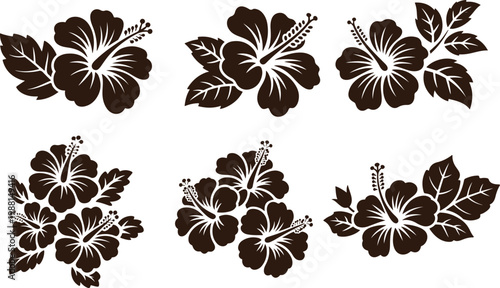 Collection of Dark Brown Hibiscus Flower Silhouettes with Leaves Keywords: hibiscus, flower