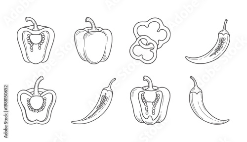 Hand drawn outline collection of bell peppers and chili peppers food vegetable
