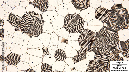 Microstructure steel showing ferrite and pearlite grains