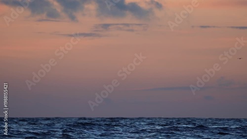 Golden Sunset Sea Background with Copy Space and Soft Focus Seabirds