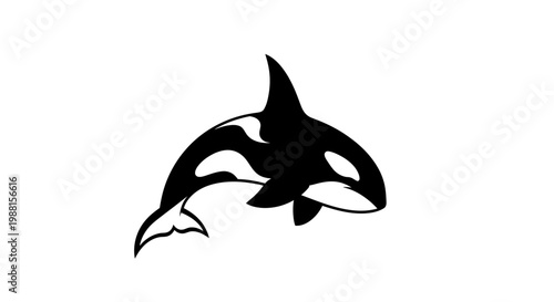 Stylized black and white illustration of a majestic orca, also known as a killer whale, leaping from the water, showcasing its distinctive markings and powerful form.