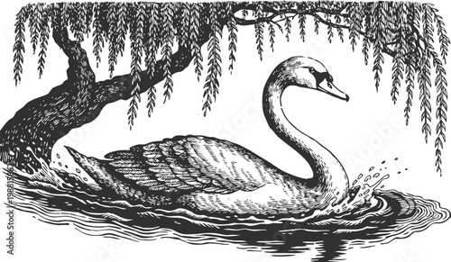 Elegant swan swimming gracefully under a willow tree branch on calm water surface