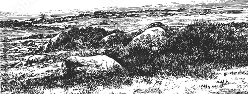 Black and white landscape with rocks and grass in a natural outdoor environment