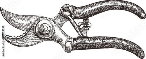 Vintage garden pruning shears illustration old fashioned hand tool for cutting branches and trimming shrubs