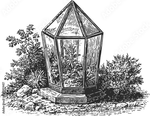 Vintage botanical illustration of a glass terrarium with plants surrounded by foliage and rocks