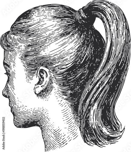 hand drawn detailed side portrait of a woman with long ponytail hairstyle, vintage sketch illustration