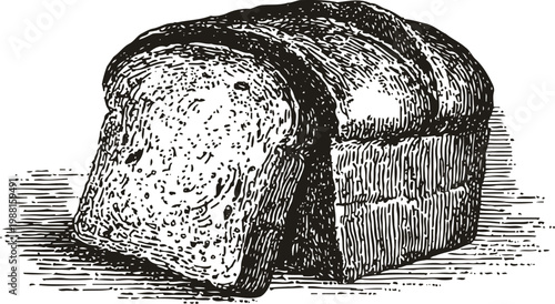 Detailed vintage illustration of sliced bread loaf with texture and crust patterns