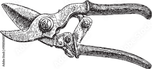 Vintage garden pruners detailed hand drawn illustration of old fashioned pruning shears tool for gardening and landscaping
