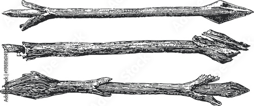Ancient wooden arrows with carved shafts and feathered tails, vintage weaponry illustration
