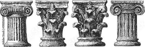 Four classical architectural column capitals illustration ionic, corinthian styles detailed vintage engraving