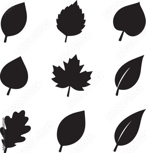 Set of Nine Unique Black and White Leaf Silhouettes Vector