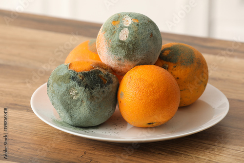 Photos Plate with moldy oranges on counter in kitchen