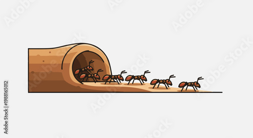Ants emerge from a tunnel entrance, moving in a line