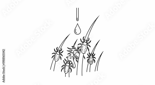 Close-up line art of lice on hair strands with a drop of liquid