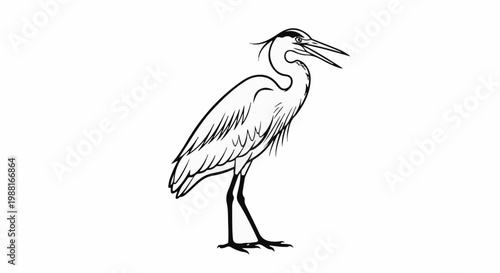 Stylized black and white drawing of a heron with its beak open