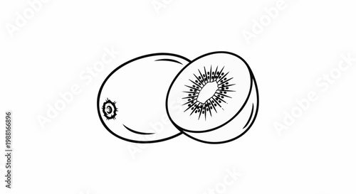 Line art of a whole kiwi and a halved kiwi fruit on a white background