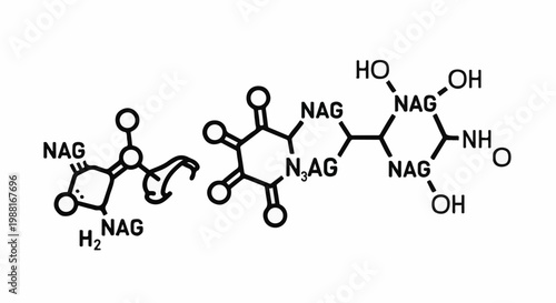 Chemical structure showing N-acetylglucosamine (NAG) and other molecular groups