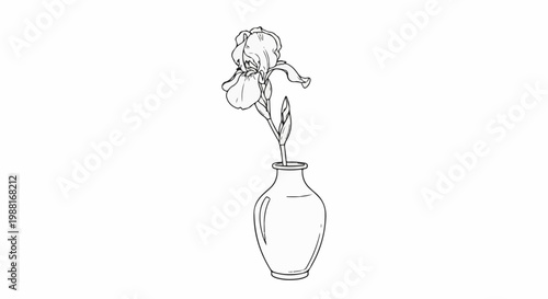 Delicate line drawing of a single iris flower in a vase
