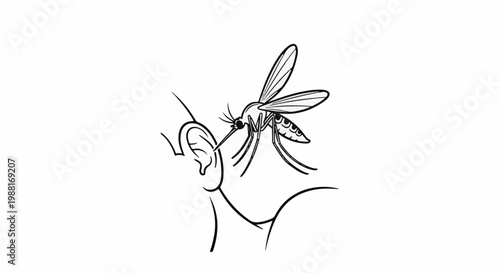 Mosquito attempting to bite near a person's ear
