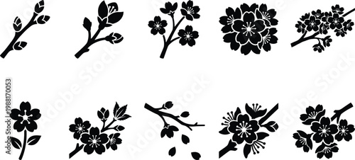 Set von schwarzen Silhouetten, die den Blühzyklus von Kirschblüten von der Knospe bis zur vollen Blüte darstellen.